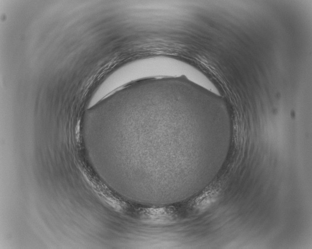 X0000056330406200509092333