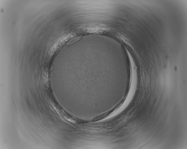 X0000056330407200509092333