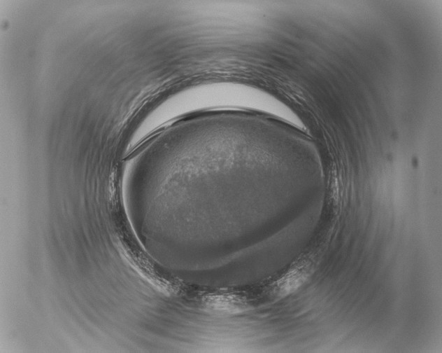 X0000056330408200509092333