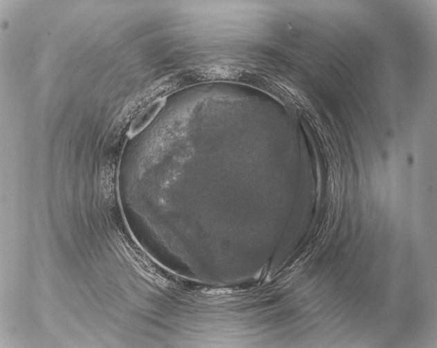 X0000056330409200509092333