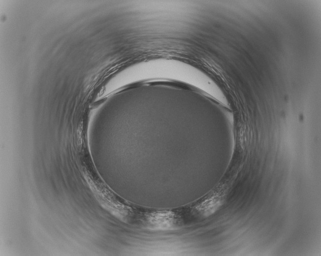 X0000056330410200509092333