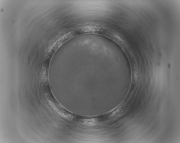 X0000056330411200509092333