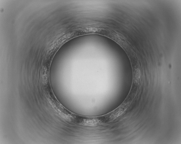 X0000056330414200509092333