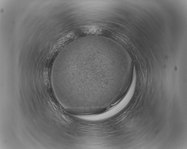 X0000056330416200509092333