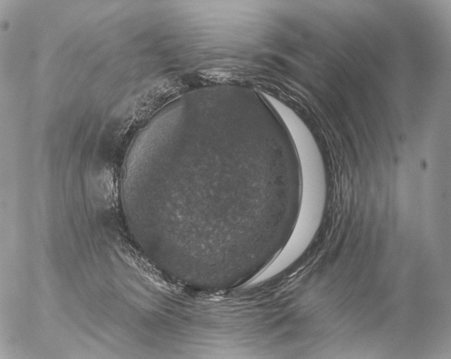 X0000056330420200509092333