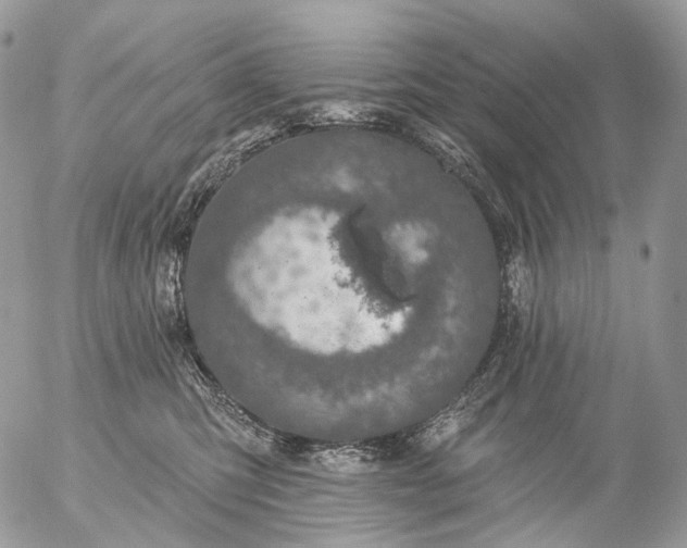 X0000056330423200509092333