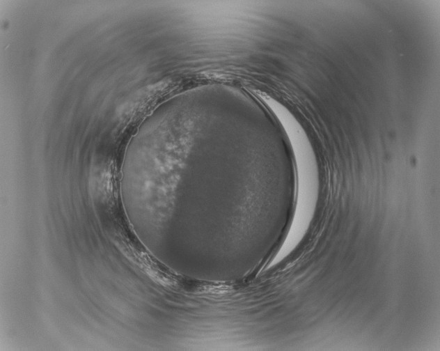 X0000056330424200509092333