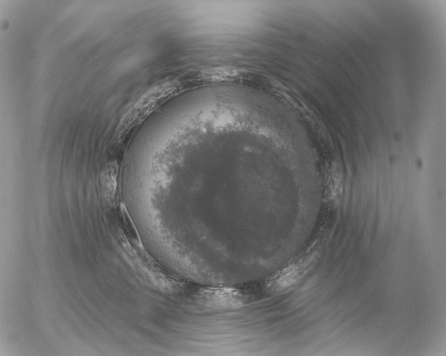 X0000056330427200509092333