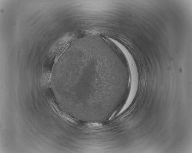 X0000056330429200509092333