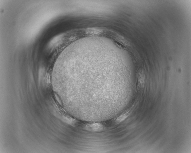 X0000056330431200509092333