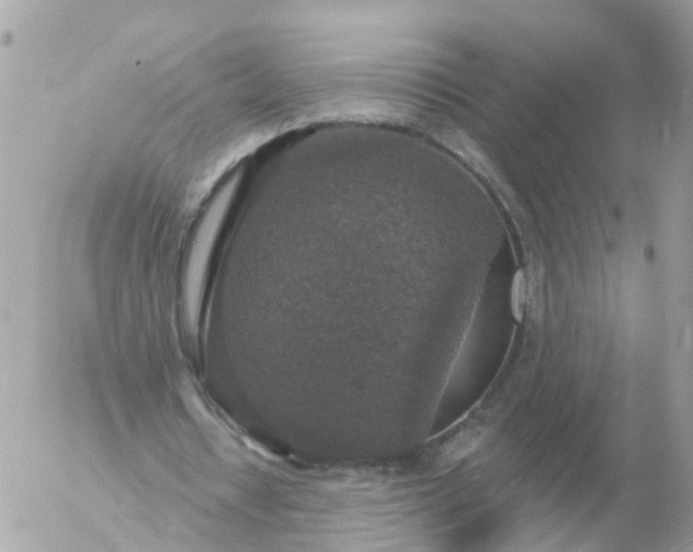 X0000056330434200509092332