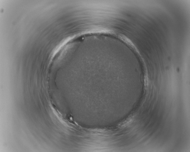 X0000056330436200509092332