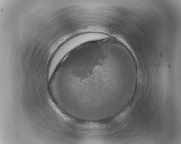 X0000056330437200509092332