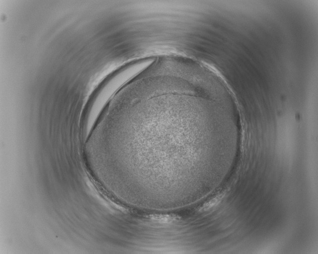 X0000056330439200509092332