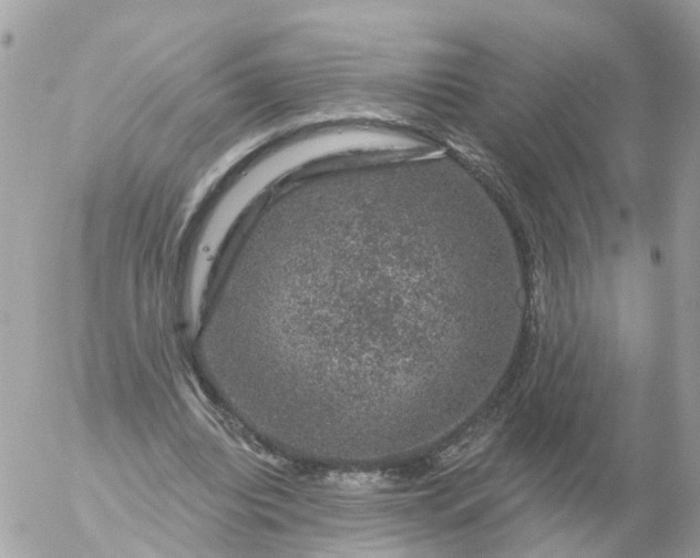 X0000056330440200509092332