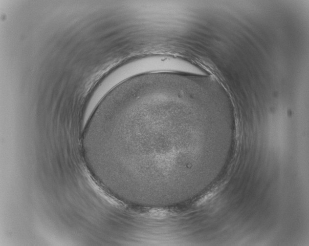 X0000056330441200509092332