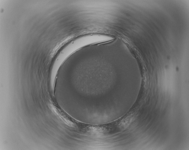 X0000056330442200509092332