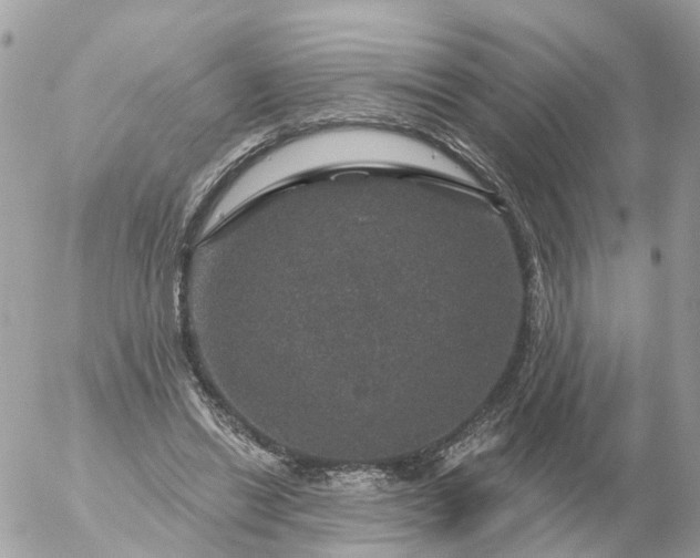 X0000056330446200509092332