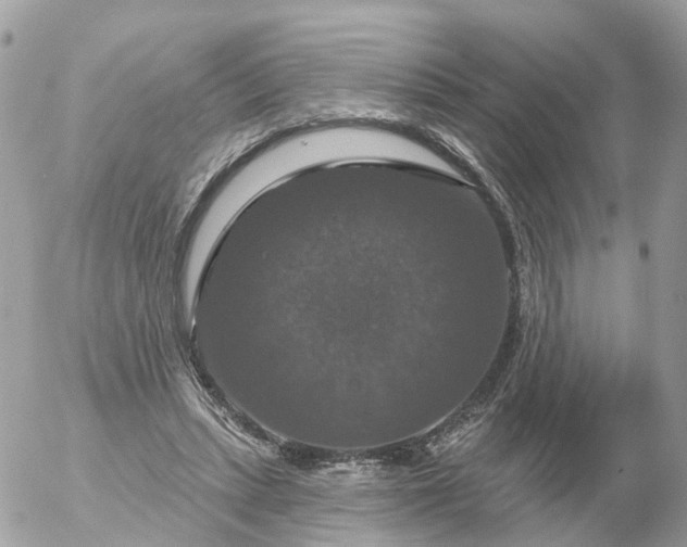 X0000056330447200509092332