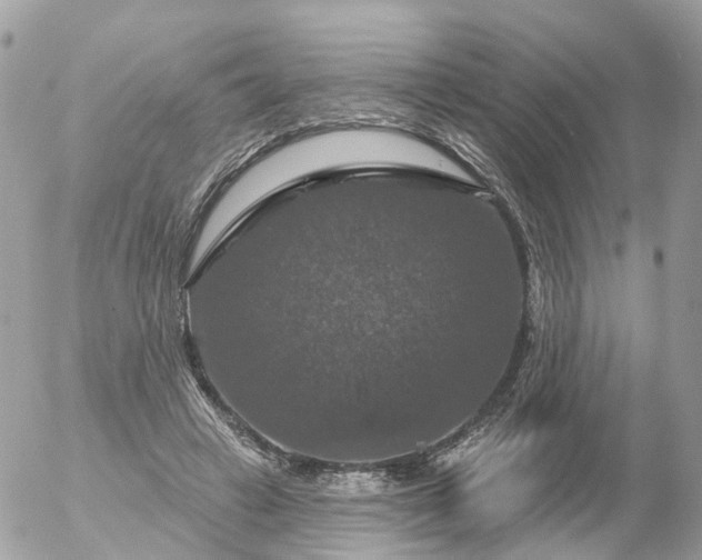 X0000056330449200509092332