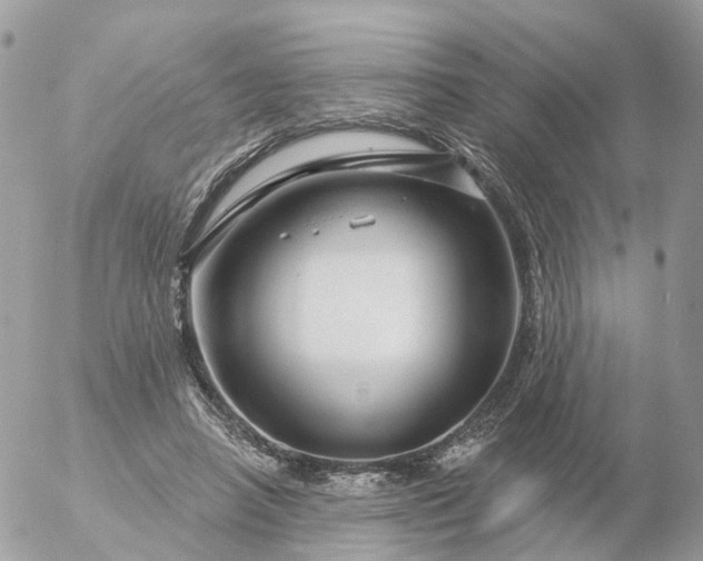 X0000056330450200509092332