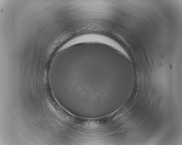 X0000056330451200509092332