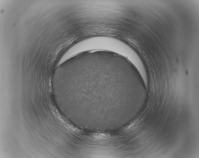 X0000056330453200509092332