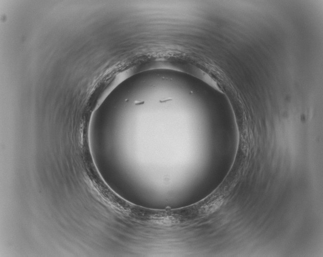 X0000056330454200509092332