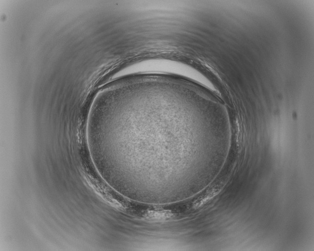 X0000056330455200509092332