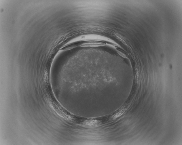 X0000056330459200509092332