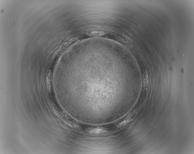 X0000056330460200509092332