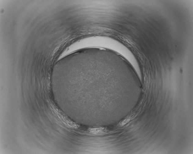 X0000056330461200509092333