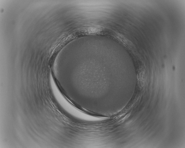 X0000056330462200509092333