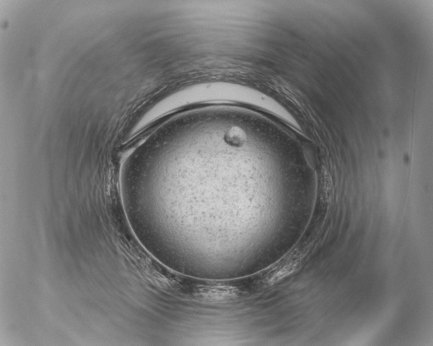 X0000056330463200509092333