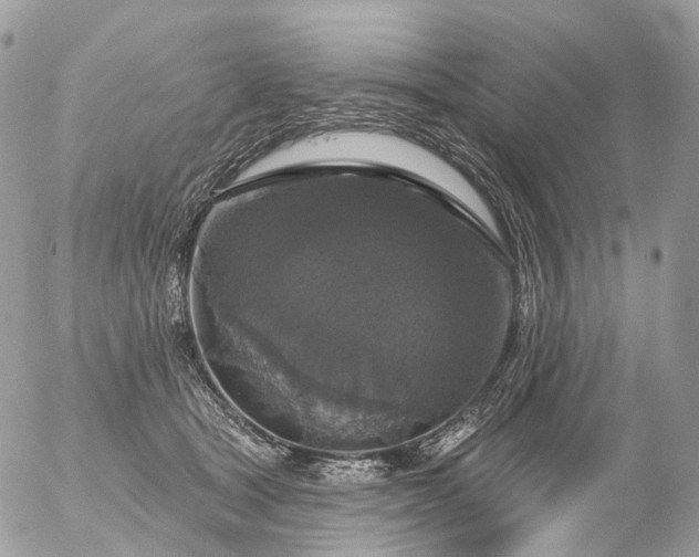 X0000056330465200509092333