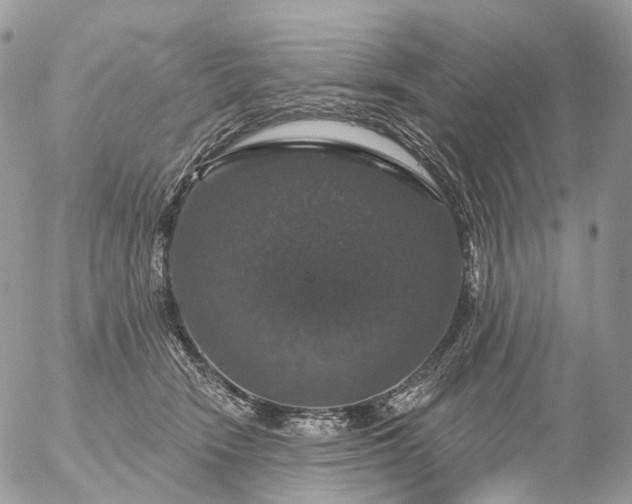 X0000056330466200509092333