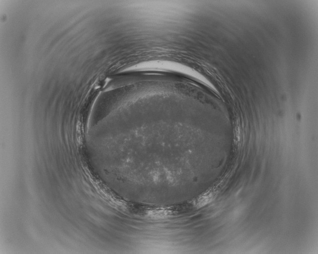 X0000056330470200509092333