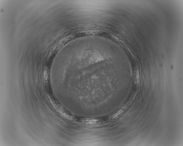 X0000056330472200509092333