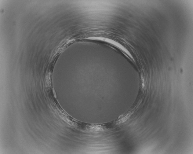 X0000056330475200509092333