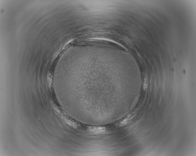 X0000056330476200509092333