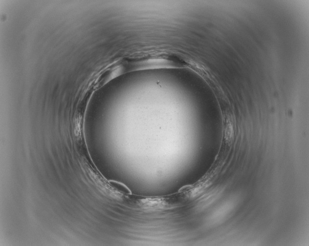 X0000056330477200509092333