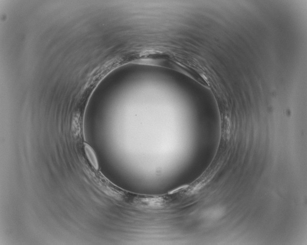 X0000056330478200509092333