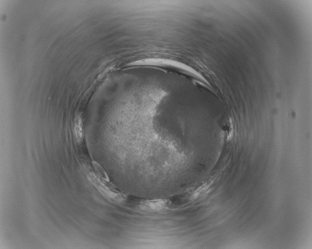 X0000056330479200509092333