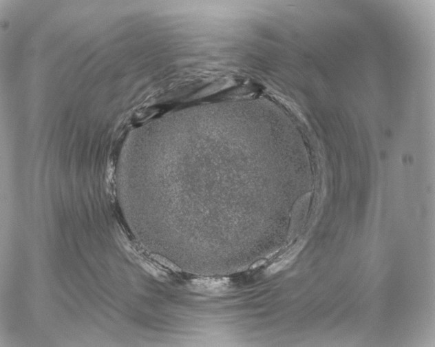 X0000056330480200509092333