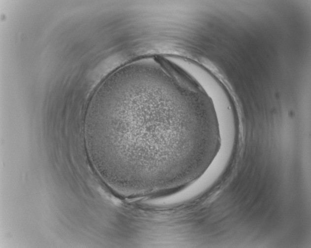 X0000056330481200509092332