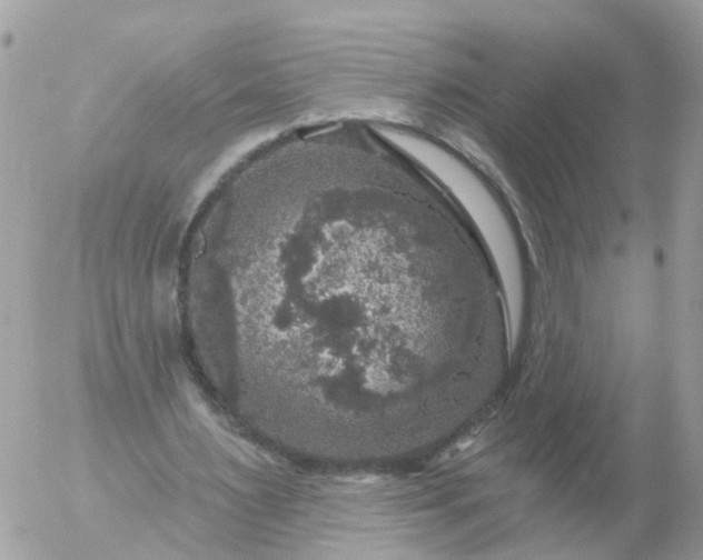 X0000056330483200509092332