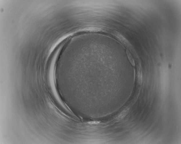 X0000056330484200509092332