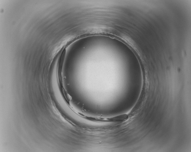 X0000056330485200509092332