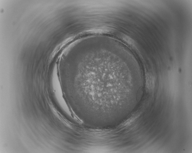 X0000056330486200509092332