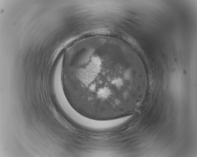 X0000056330487200509092332